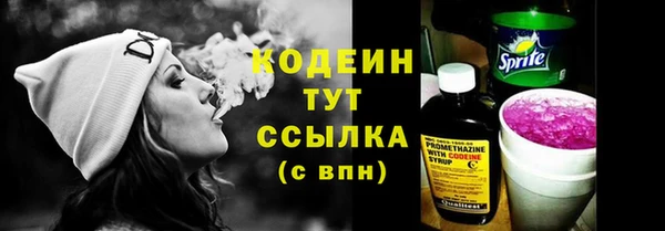 скорость Бердск